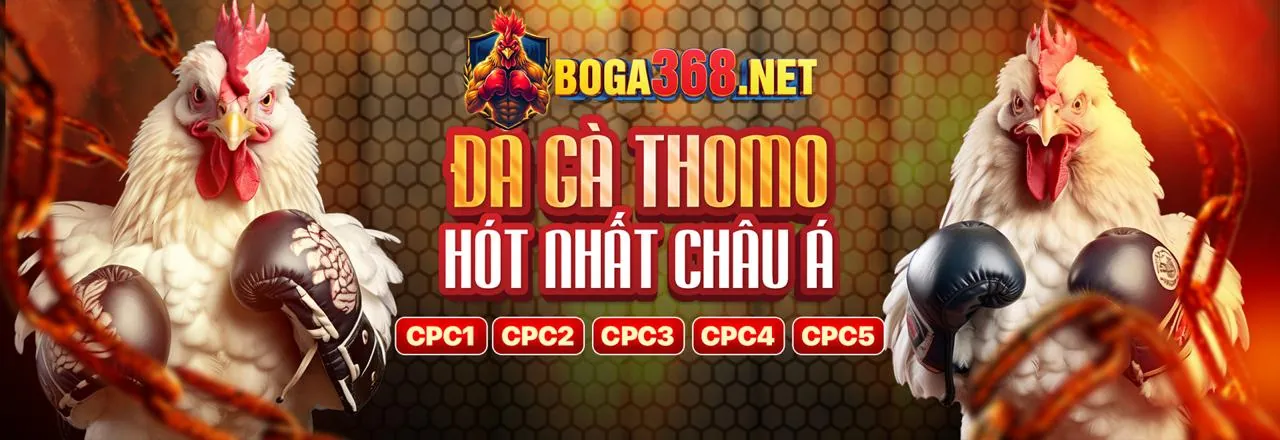 Kỹ năng theo dõi và phân tích trận đấu đá gà F83