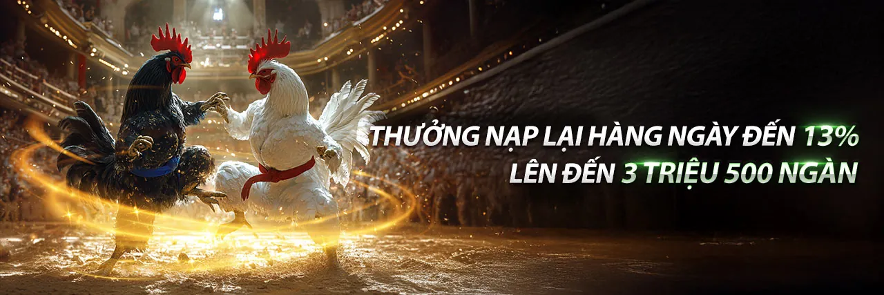 Giải trí có trách nhiệm khi theo dõi đá gà F83